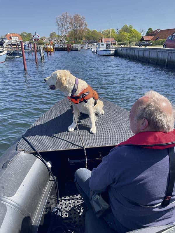 Flere hunde lærer at finde personer i vand