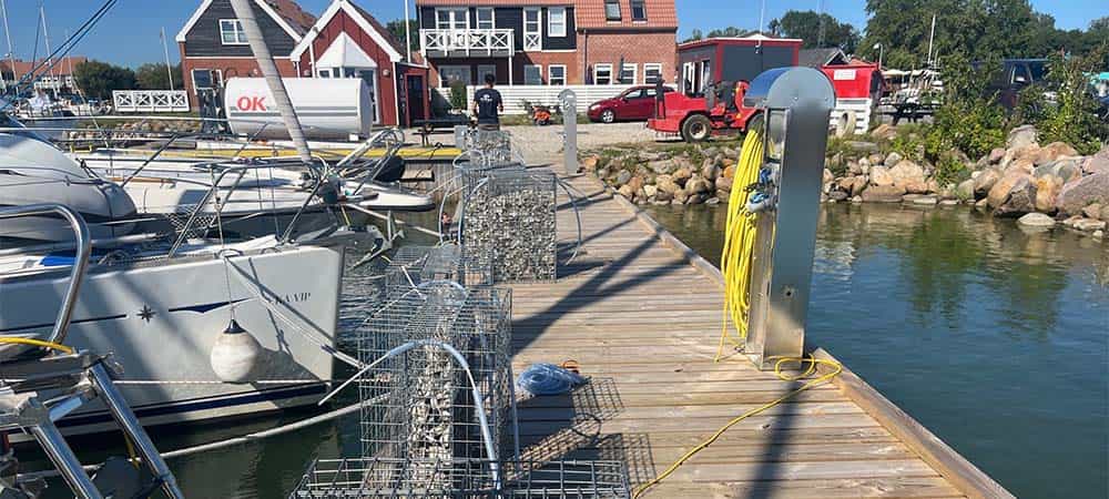 Fiskebørnehaver i Klintholm Havn