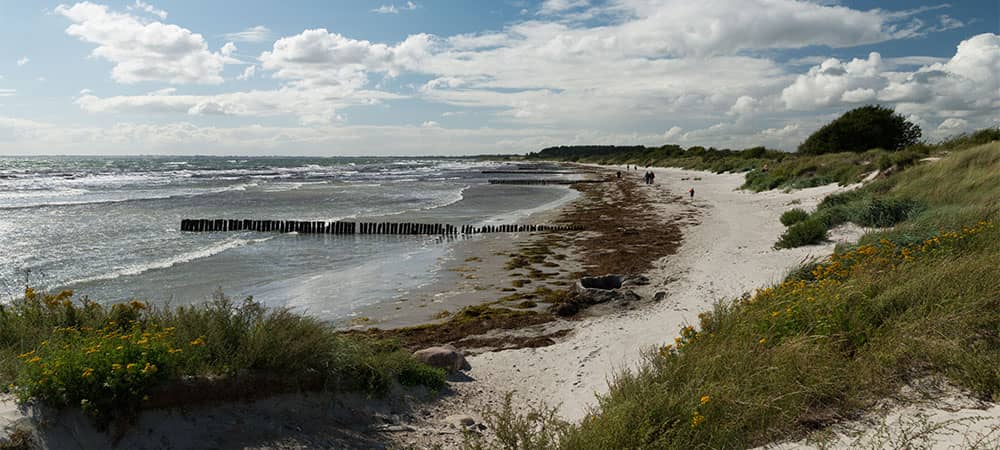 Strand nær Klintholm Havn