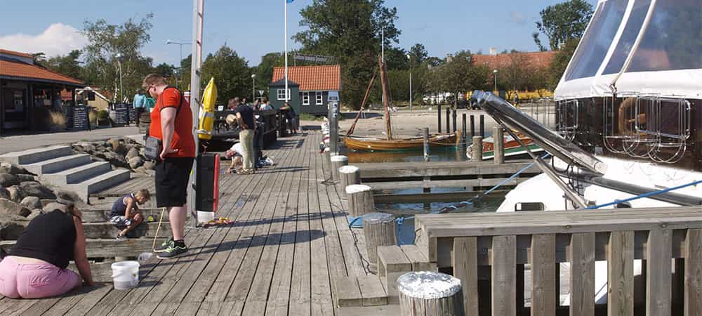 Krabbefiskeri på Rørvig Havn